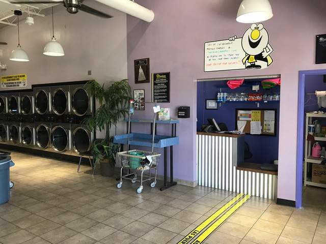 Row of front-loading washers. Clean lavender interior. Attendant desk.